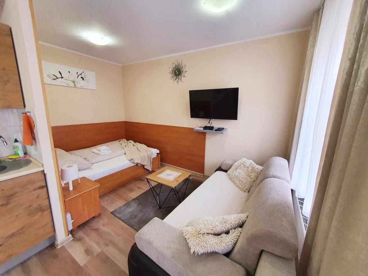 Aparthouse Apartamenty Centrum - In The City Center Near The Train Station Katowice Zewnętrze zdjęcie