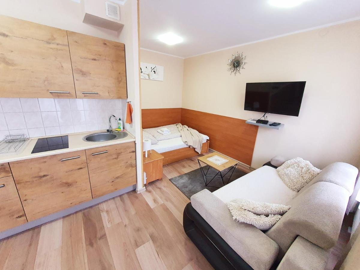 Aparthouse Apartamenty Centrum - In The City Center Near The Train Station Katowice Zewnętrze zdjęcie