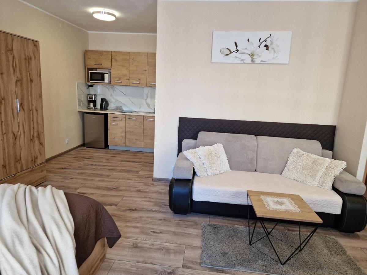 Aparthouse Apartamenty Centrum - In The City Center Near The Train Station Katowice Zewnętrze zdjęcie